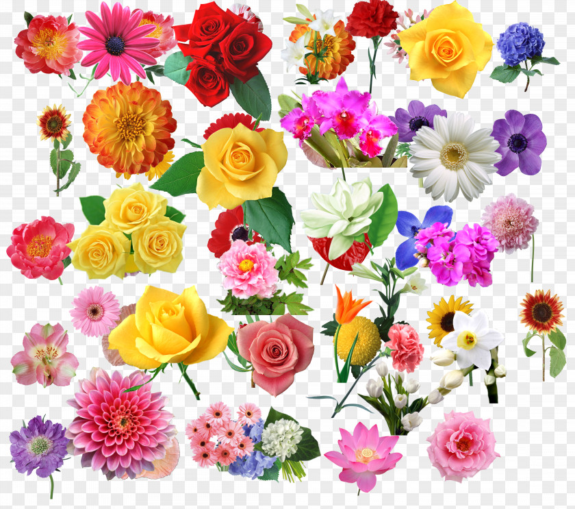 Creative Flowers Download Illustration PNG