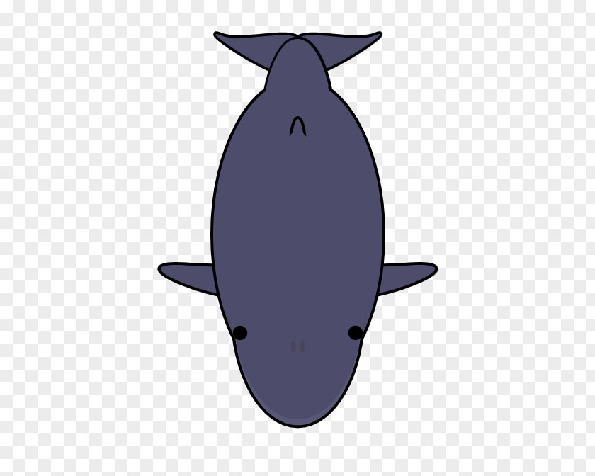 Design Porpoise Cetacea Clip Art PNG