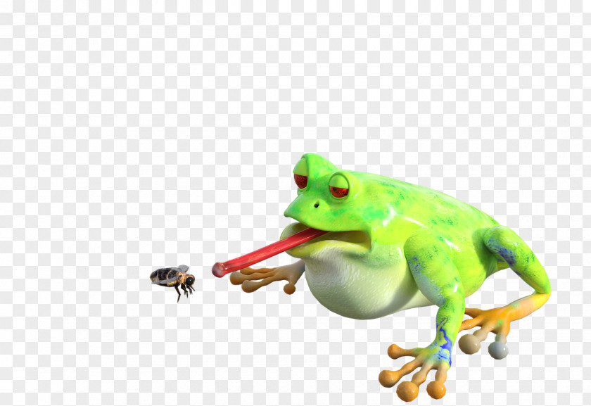 Insect Frog Animal Bee Image PNG