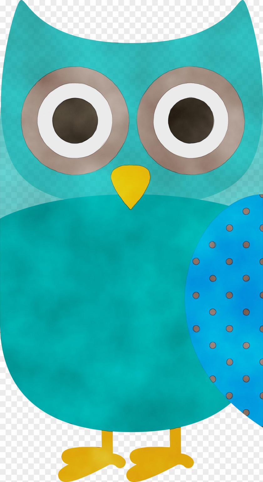 Owl M Green Pattern Beak PNG