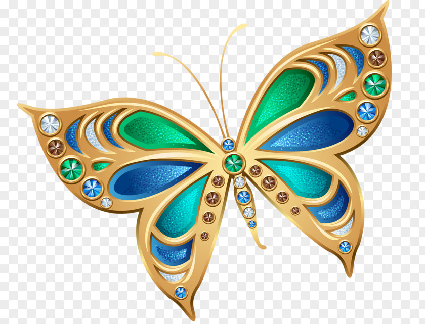 Beautiful Butterfly Gardening Paper Photography PNG