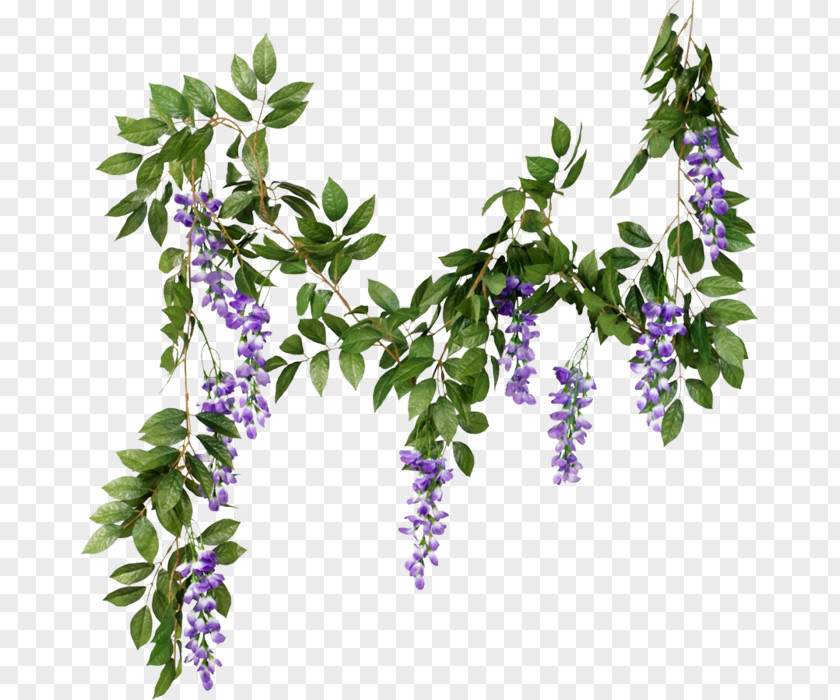 Flower Cut Flowers Garland Branch PNG