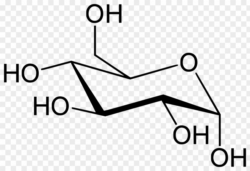 Glucose Xylose Anomer Galactose Haworth Projection PNG