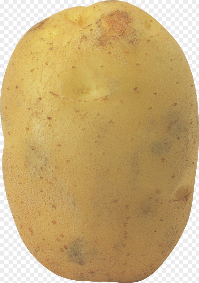 Potato Images Clip Art PNG