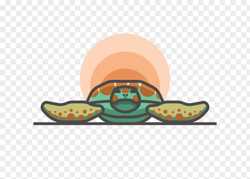 Painted Turtle Creative Graphics Illustration PNG