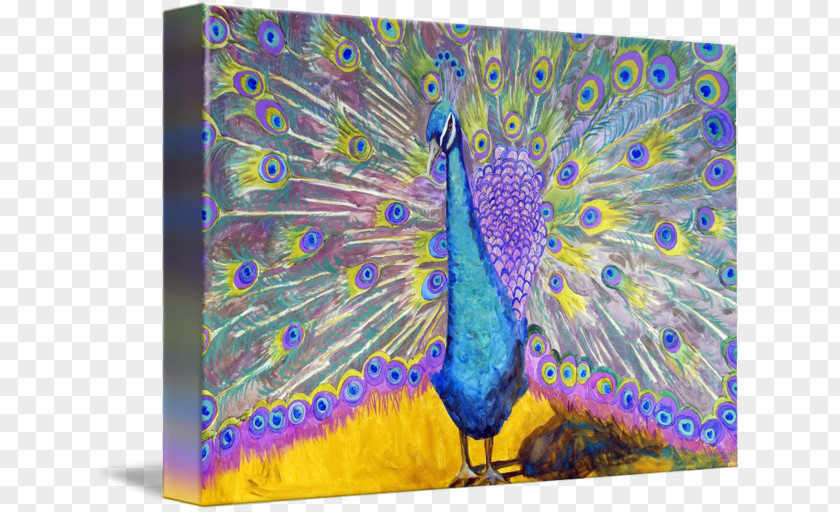 Peacock Lavender Peafowl Feather Painting Blue-green PNG