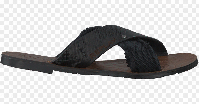 Seahawks Toms Shoes For Women Shoe Sandal Slide Walking Black M PNG
