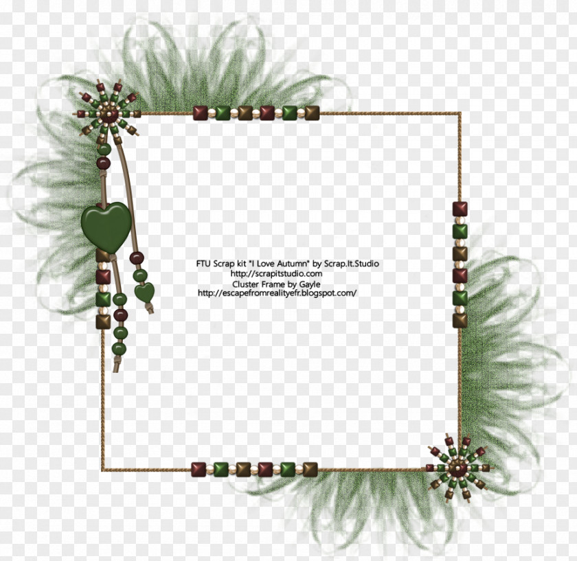 Design Floral Picture Frames Pine Font PNG