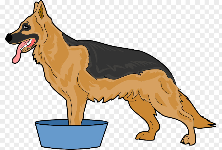 German Shepherd Dog Breed Paw Group (dog) Snout PNG