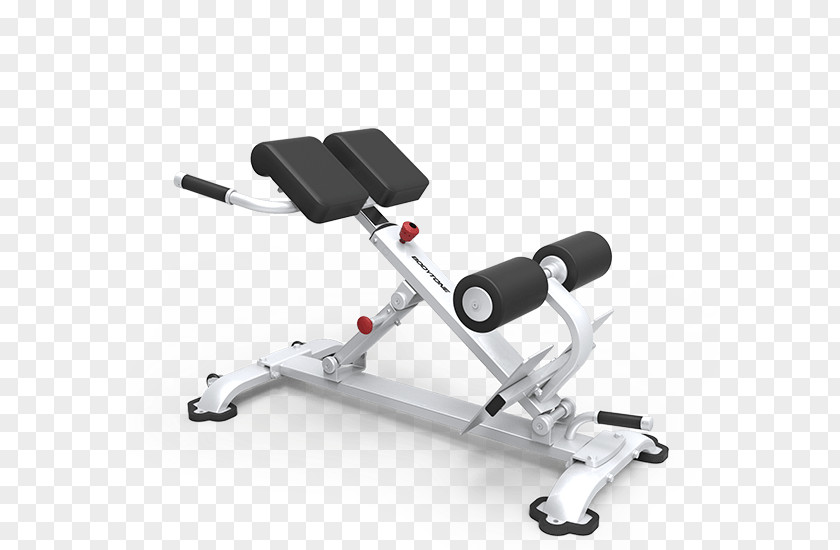 Hyperextension Bench Roman Chair Fitness Centre Strength Training PNG