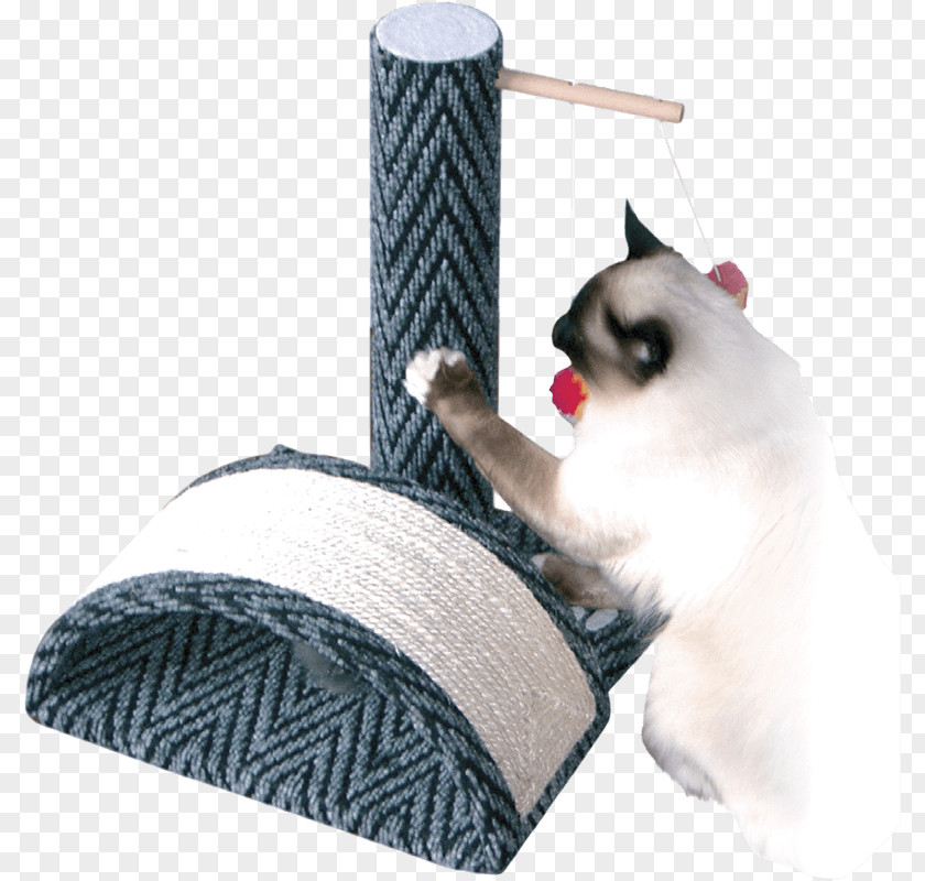 Kitten Whiskers Scratching Post Van Cat Tree Play And Toys PNG