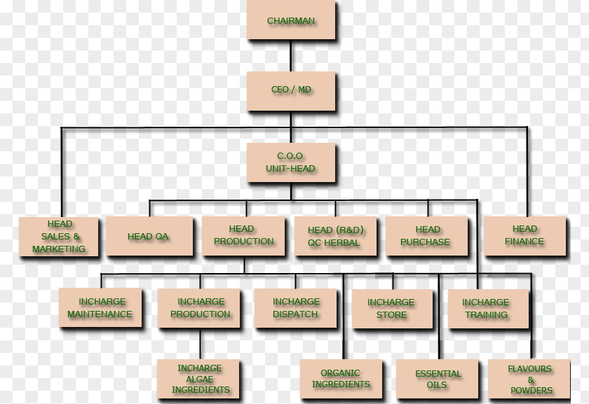 Business Organizational Chart Diagram PNG