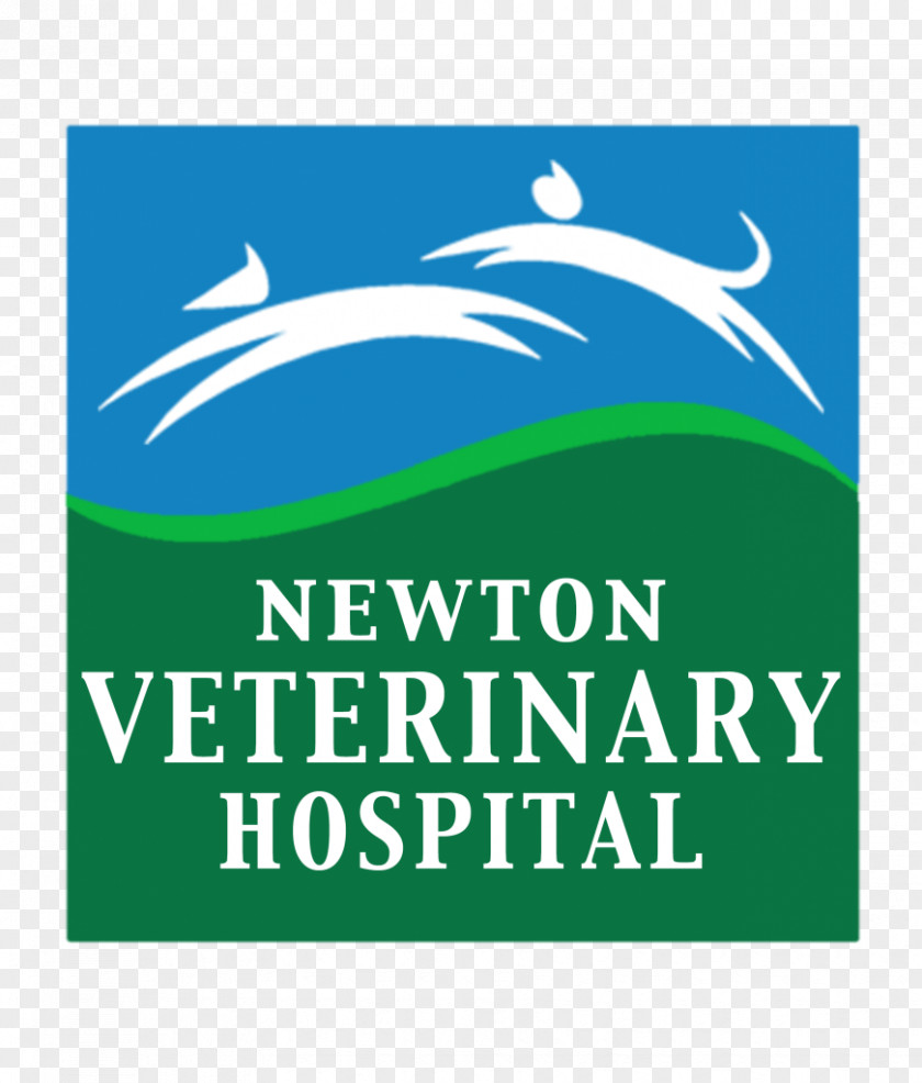 Cat Newton Veterinary Hospital Veterinarian Clinique Vétérinaire PNG