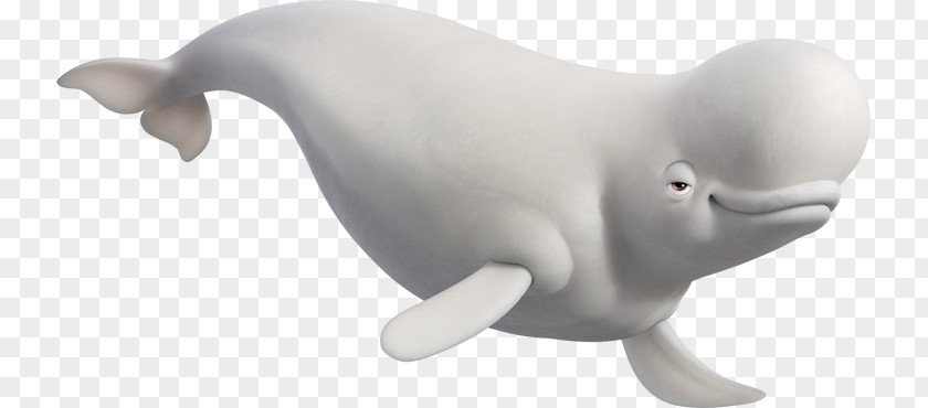 Dolphin Nemo Dory Beluga Whale PNG