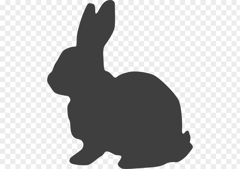 Rabbit Hare Easter Bunny White Vector Graphics PNG
