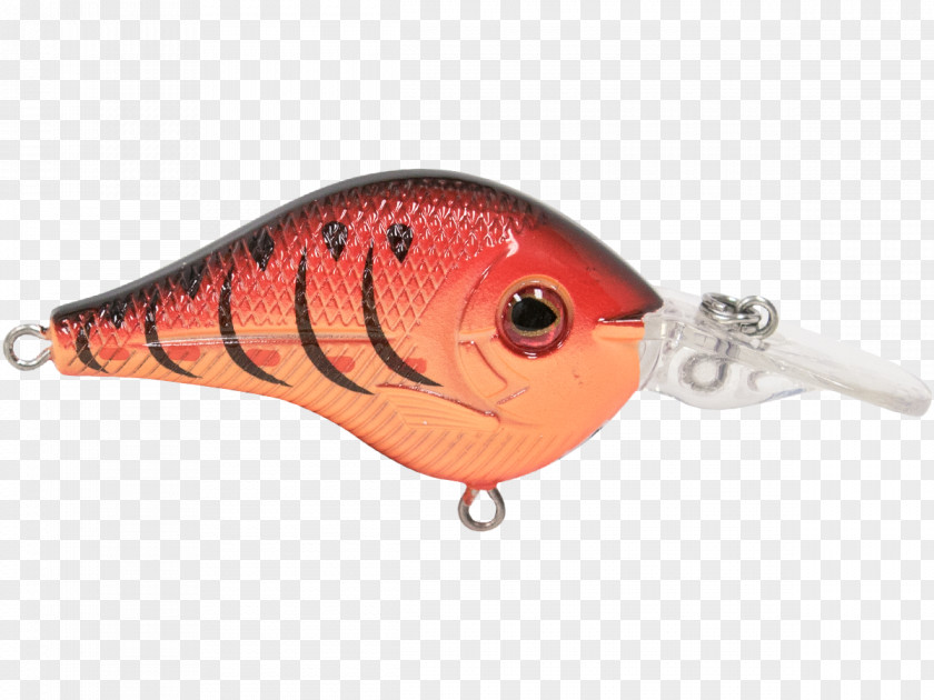 Spoon Lure Perch Fish AC Power Plugs And Sockets PNG