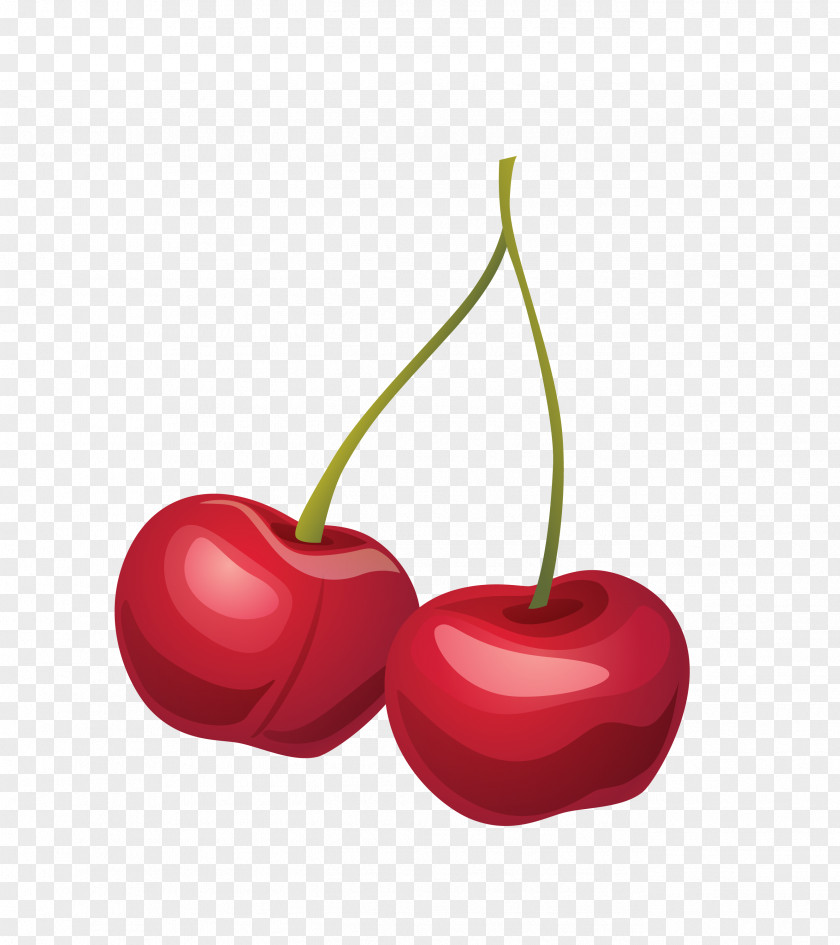 Vector Red Cherry Fruit Clear PNG