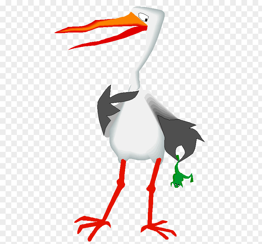 Bird White Stork Beak Clip Art PNG