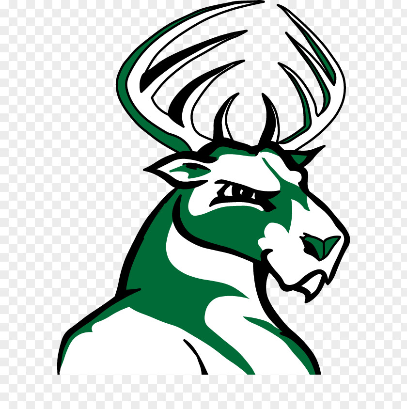 Bucks Motlow State Community College School Of Environmental And Biological Sciences Northwest Florida Tennessee Junior Athletic Association PNG