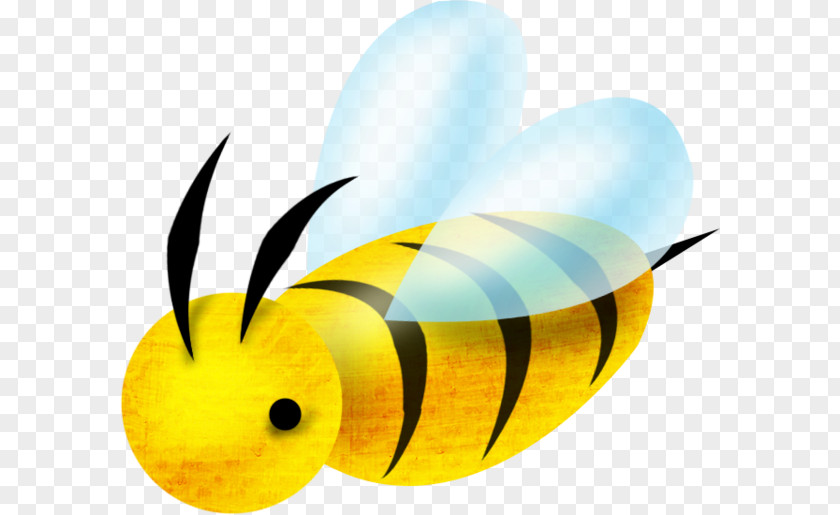 Cartoon Bee Insect Apis Florea Clip Art PNG