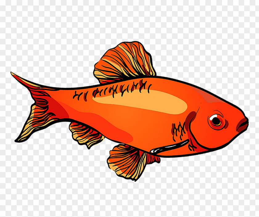 Cyprinidae Goldfish Fish Cartoon PNG