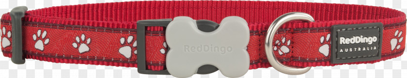 Dog Collar Dingo Harness PNG