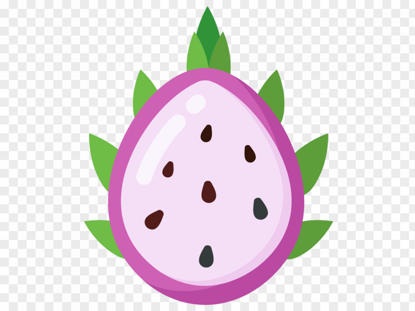 Dragonfruit Vector Tropical Fruit Pitaya Graphics Illustration PNG