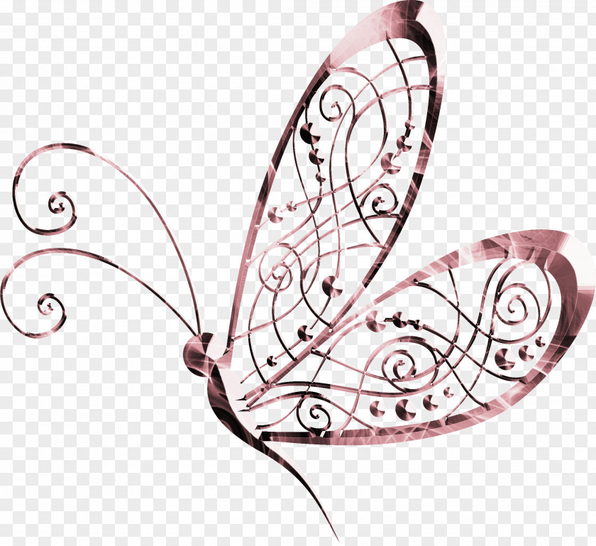 Beautiful Butterfly Moth Illustration PNG