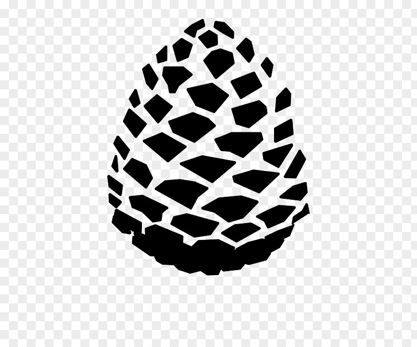 Conifer Cone Lil Pinecone Gang Lost Pines Avenue PNG