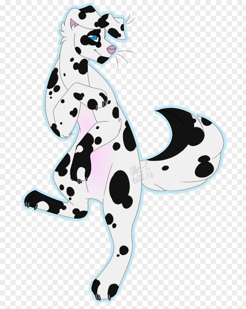 Dalmatians Cat Dalmatian Dog Mammal Carnivora Pet PNG