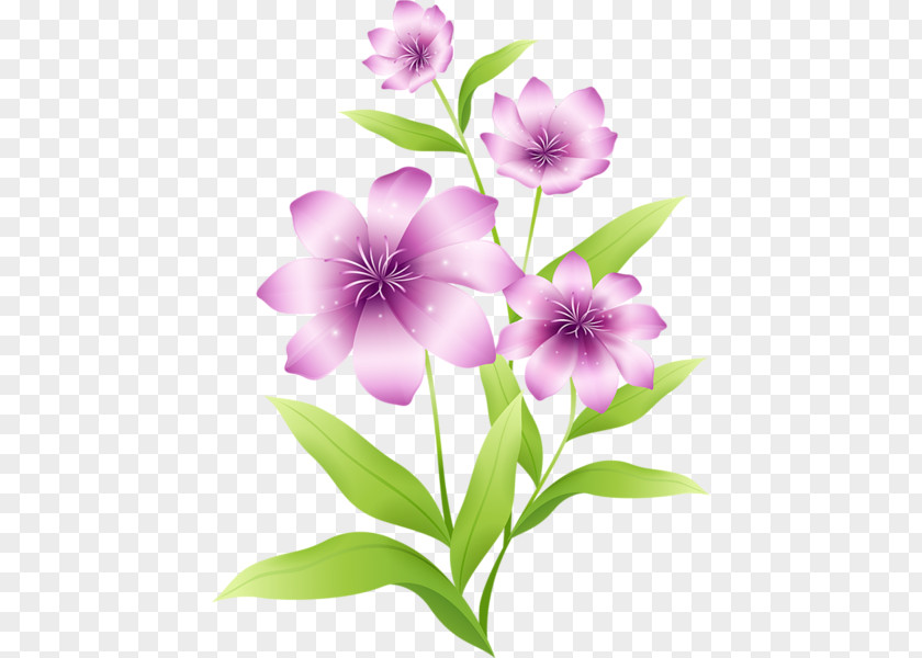 Flowers: Transparent Flowers Birds II Pink Purple Clip Art PNG