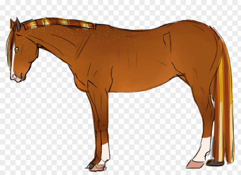 Mustang Foal Mane Stallion Rein PNG