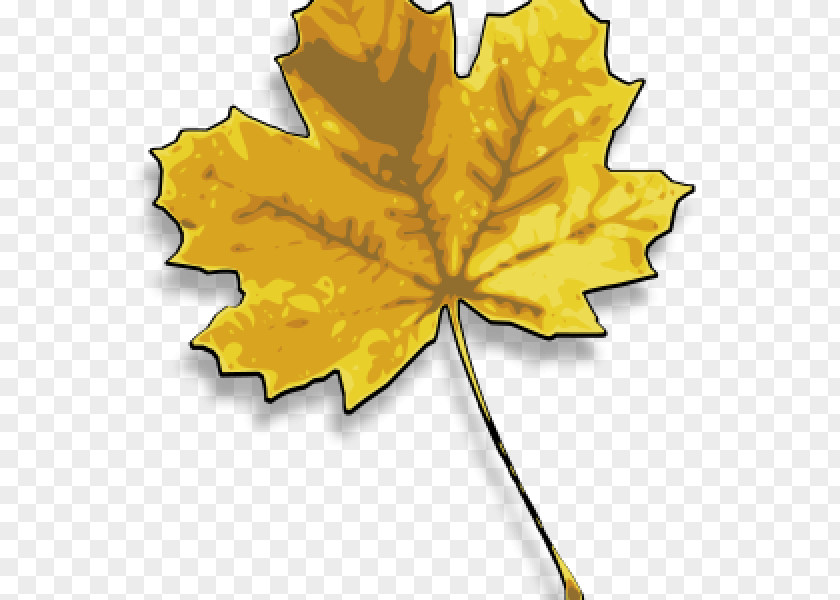 New Autumn Products Maple Leaf Clip Art Color Japanese PNG