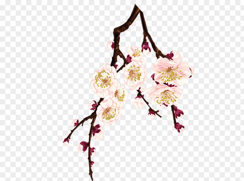 Plum Flower Blossom PNG