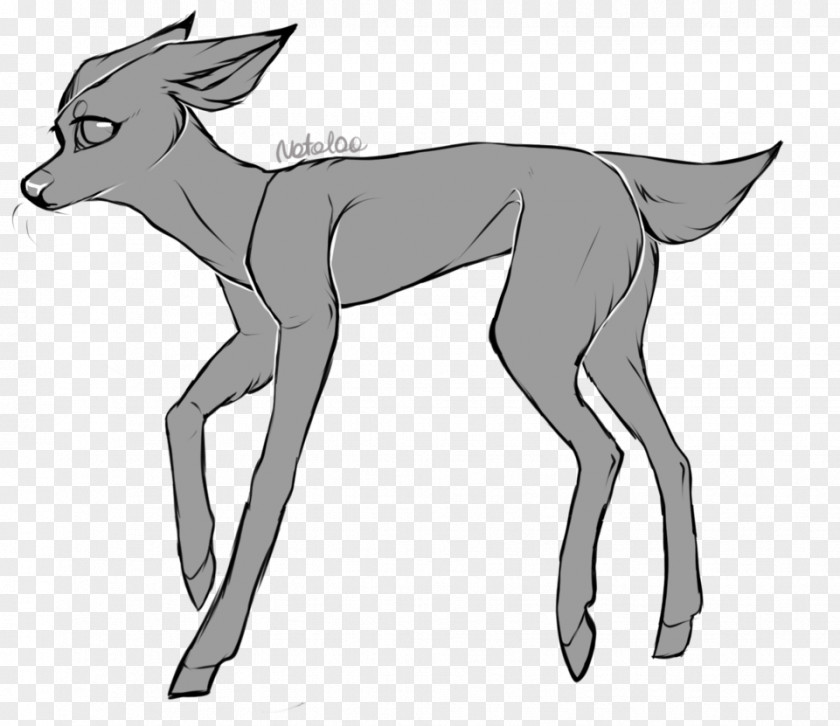 Reindeer Line Art Musk Deers Drawing PNG