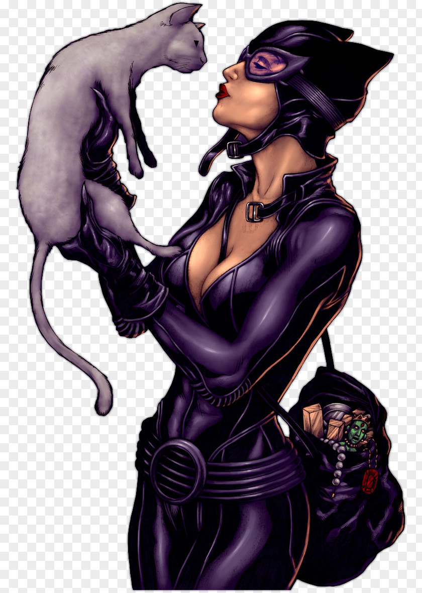 Anne Hathaway Catwoman Felicia Hardy Batman Comic Book PNG