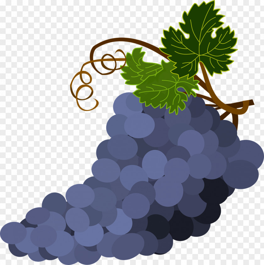Bunch Of Purple Grapes Wine Common Grape Vine Leaves PNG