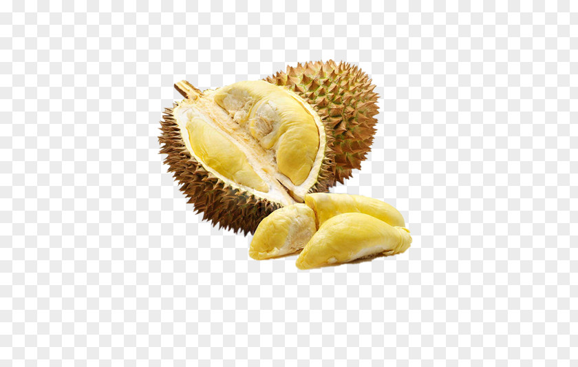 Durian PNG clipart PNG