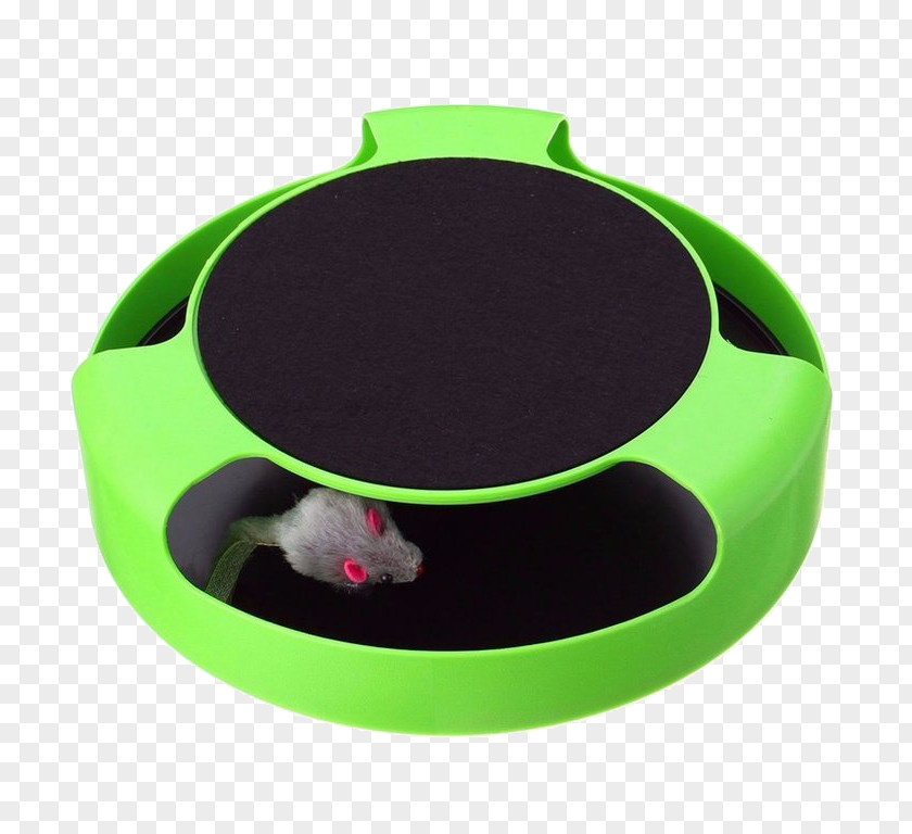 Mouse Computer Cat Play And Toys Kitten PNG