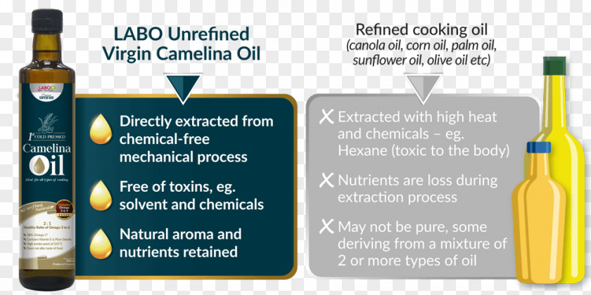 Oil Camelina Sativa Cooking Oils Vegetable Refining PNG