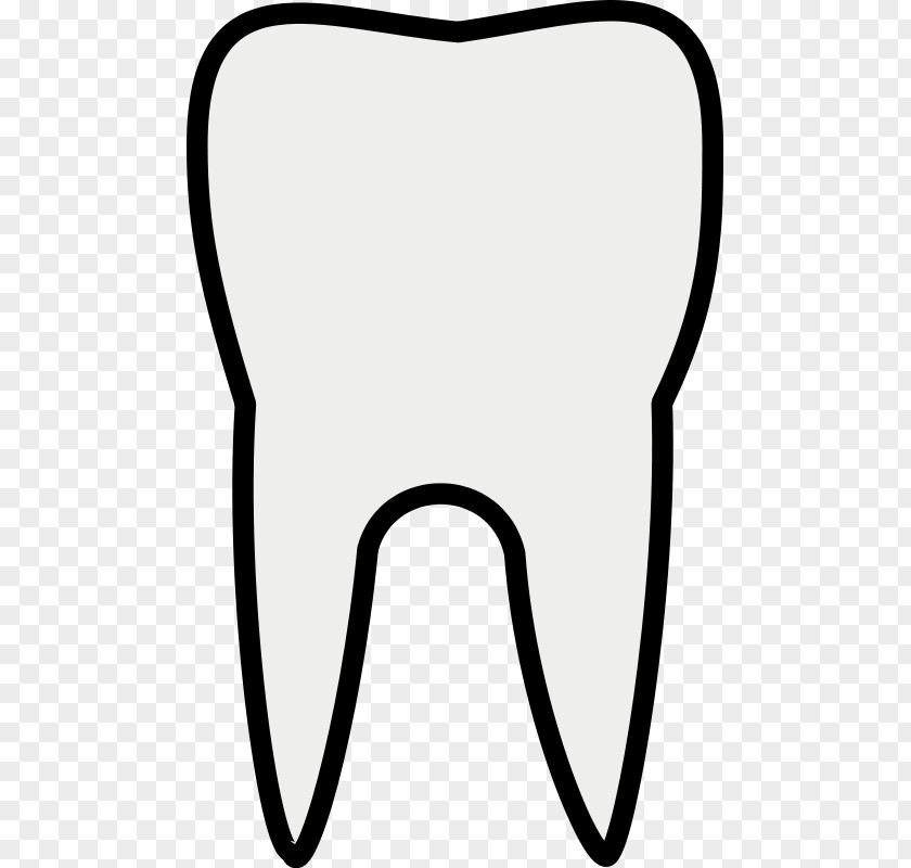 Tooth Images Free Pathology Dentistry Clip Art PNG