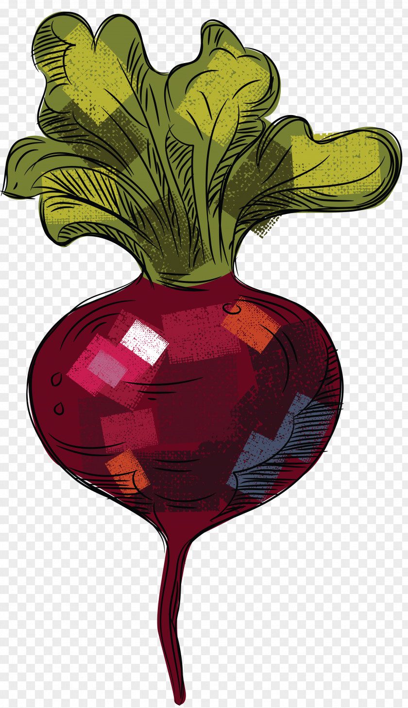 Beet Tomato Download PNG