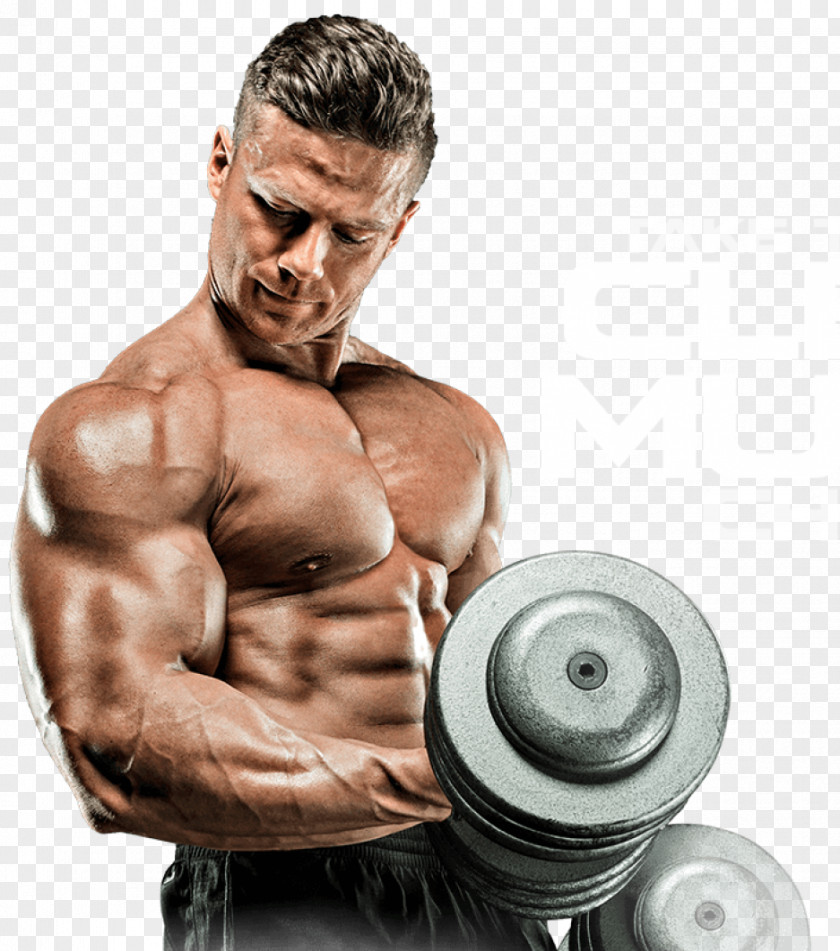 Bodybuilding Picture Suhas Khamkar Muscle Physical Exercise PNG