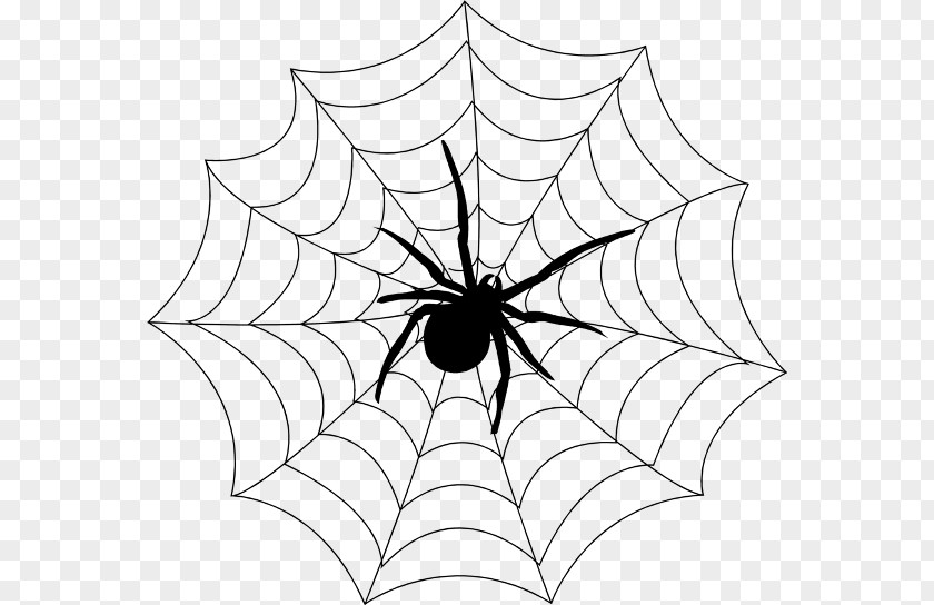 Spider Web Printing Decal PNG