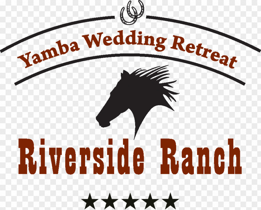 Wedding Deco Yamba Weddings Mustang Reception Shores Tavern PNG