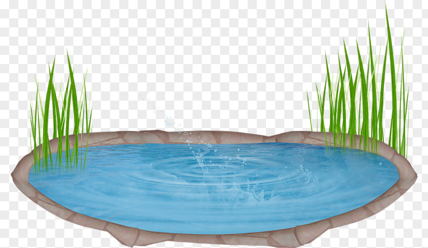 Cartoon Pond PNG pond clipart PNG