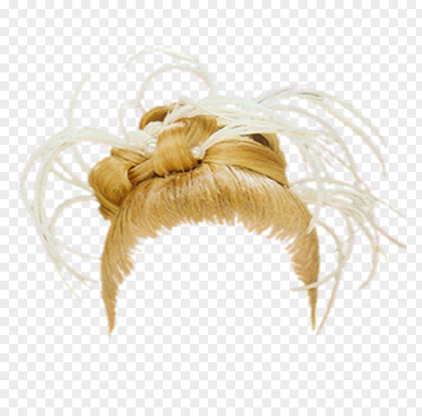 Computer Software Hairstyle PNG