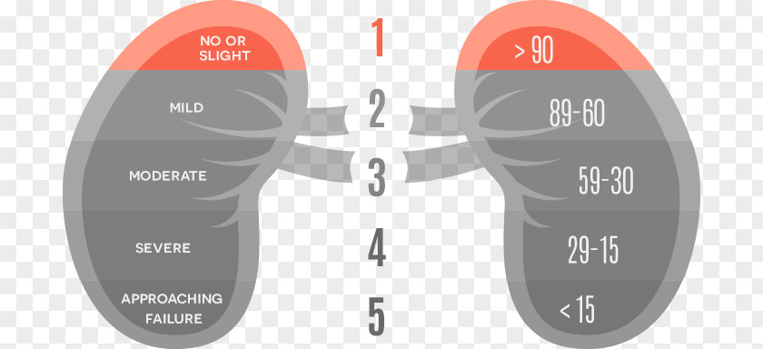 Kidney Disease Chronic Renal Function Transplantation Failure PNG
