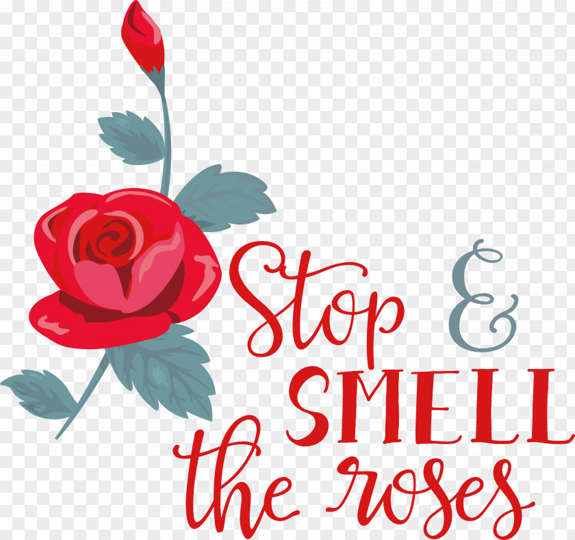 Rose Stop And Smell The Roses PNG