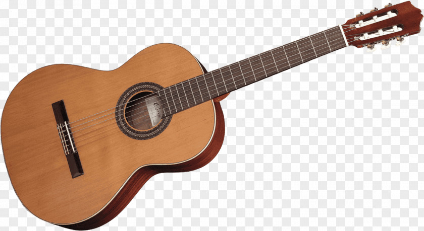 Acoustic Guitar Acoustic-electric Takamine Pro Series P3DC Guitars PNG